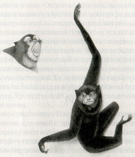 Иллюстрация к книге — Эротоэнциклопедия [i_010.jpg]