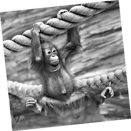 Иллюстрация к книге — Как стать звездой YouTube. ЛюсиЛюкс: Сетевая катастрофа [_032_3.jpg]