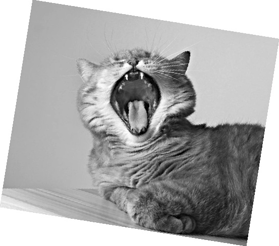 Иллюстрация к книге — Как стать звездой YouTube. ЛюсиЛюкс: Сетевая катастрофа [_033_3.jpg]