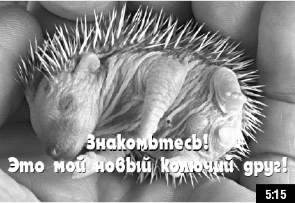 Иллюстрация к книге — Как стать звездой YouTube. ЛюсиЛюкс: Сетевая катастрофа [_061.jpg]