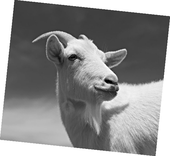 Иллюстрация к книге — Как стать звездой YouTube. ЛюсиЛюкс: Сетевая катастрофа [_095_3.jpg]