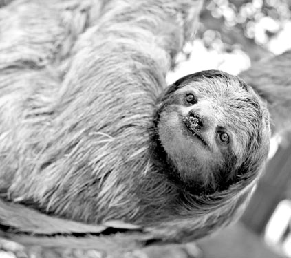 Иллюстрация к книге — Как стать звездой YouTube. ЛюсиЛюкс: Сетевая катастрофа [_166_2.jpg]