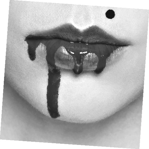 Иллюстрация к книге — Как стать звездой YouTube. ЛюсиЛюкс: Сетевая катастрофа [_183_3.jpg]