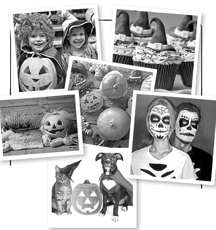 Иллюстрация к книге — Как стать звездой YouTube. ЛюсиЛюкс: Сетевая катастрофа [_237.jpg]