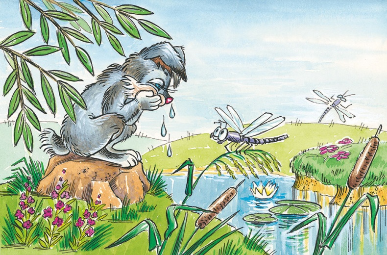 Иллюстрация к книге — Как Прошка друга искал и другие сказки [i_022.jpg]