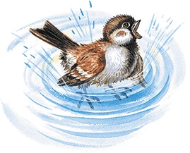 Иллюстрация к книге — Лесной голосок (сборник) [i_005.jpg]