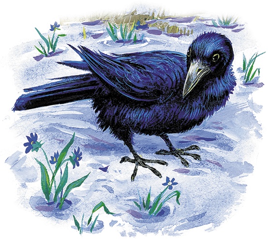 Иллюстрация к книге — Лесной голосок (сборник) [i_007.jpg]