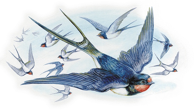 Иллюстрация к книге — Лесной голосок (сборник) [i_011.jpg]