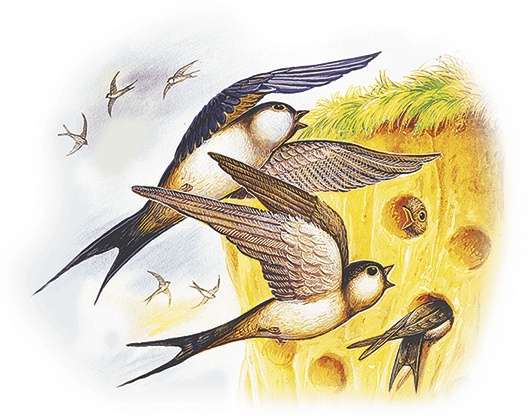 Иллюстрация к книге — Лесной голосок (сборник) [i_012.jpg]