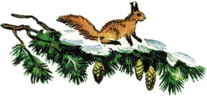 Иллюстрация к книге — Лесной голосок (сборник) [i_024.jpg]