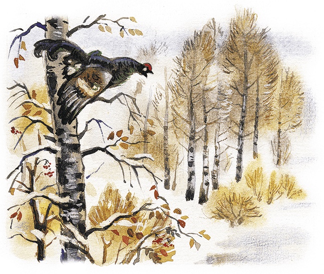 Иллюстрация к книге — Лесной голосок (сборник) [i_025.jpg]