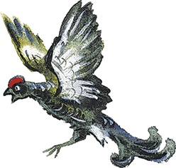 Иллюстрация к книге — Лесной голосок (сборник) [i_026.jpg]