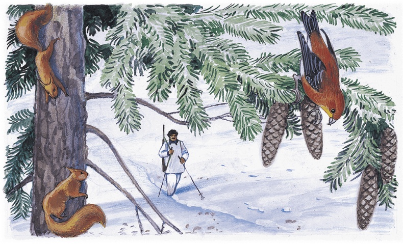 Иллюстрация к книге — Лесной голосок (сборник) [i_028.jpg]