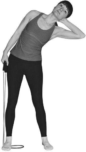 Иллюстрация к книге — Чтобы спина не болела: лучшие лечебные упражнения [_0932copy.jpg]