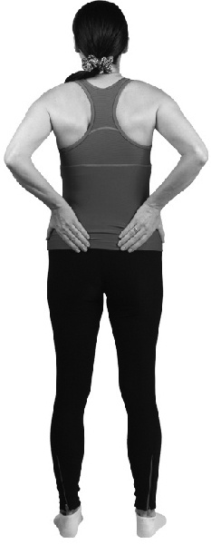 Иллюстрация к книге — Чтобы спина не болела: лучшие лечебные упражнения [_1072copy.jpg]