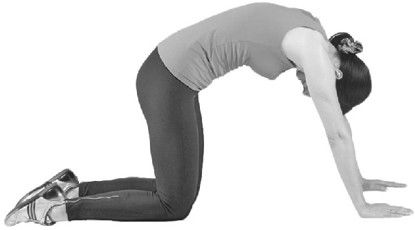 Иллюстрация к книге — Чтобы ноги не болели: лучшие лечебные упражнения [i_041.jpg]