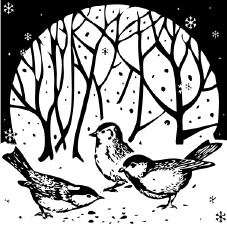 Иллюстрация к книге — Календарь умного садовода и огородника [i_001.jpg]