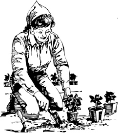 Иллюстрация к книге — Календарь умного садовода и огородника [i_007.jpg]