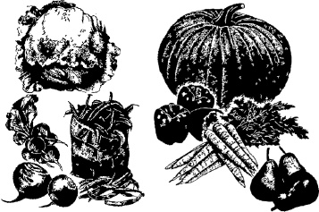 Иллюстрация к книге — Календарь умного садовода и огородника [i_016.jpg]