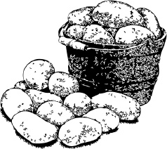 Иллюстрация к книге — Календарь умного садовода и огородника [i_017.jpg]