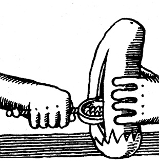 Иллюстрация к книге — Овощи и зелень. Заготовки по-деревенски [i_003.jpg]