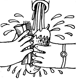 Иллюстрация к книге — Овощи и зелень. Заготовки по-деревенски [i_010.jpg]