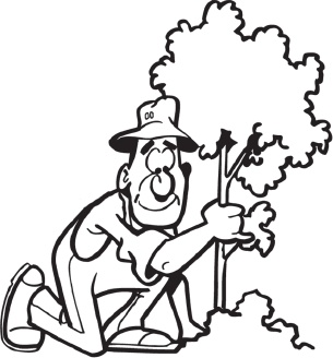 Иллюстрация к книге — Огород и сад без хлопот и затрат [i_004.jpg]