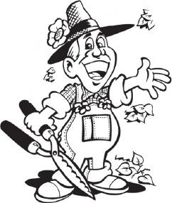 Иллюстрация к книге — Огород и сад без хлопот и затрат [i_005.jpg]