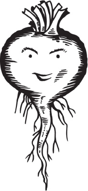 Иллюстрация к книге — Огород и сад без хлопот и затрат [i_016.jpg]