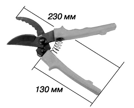 Иллюстрация к книге — Садово-огородные хитрости. Постройки и инвентарь [i_072.jpg]