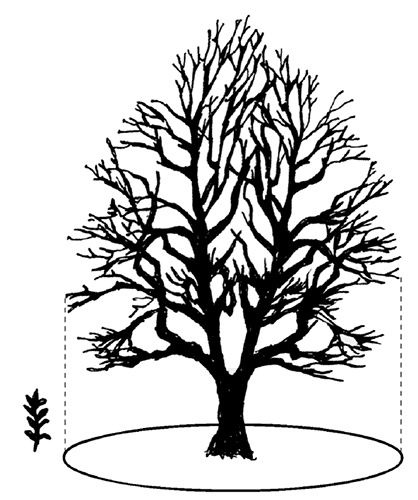 Иллюстрация к книге — Садово-огородные хитрости. Постройки и инвентарь [i_089.jpg]