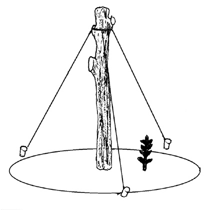 Иллюстрация к книге — Садово-огородные хитрости. Постройки и инвентарь [i_090.jpg]