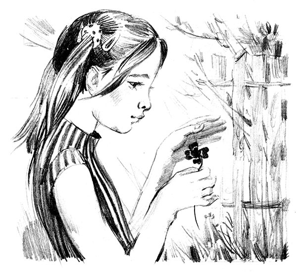 Иллюстрация к книге — Германия [i_020.jpg]