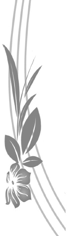 Иллюстрация к книге — Как обрести Женскую Силу [i_001.jpg]