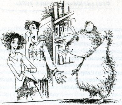 Иллюстрация к книге — Фредди. Жизнь, полная риска [i_003.jpg]