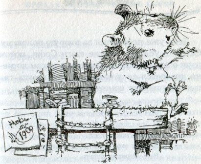 Иллюстрация к книге — Фредди. Жизнь, полная риска [i_009.jpg]