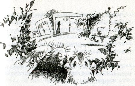 Иллюстрация к книге — Фредди. Жизнь, полная риска [i_015.jpg]