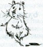 Иллюстрация к книге — Фредди. Жизнь, полная риска [i_020.jpg]