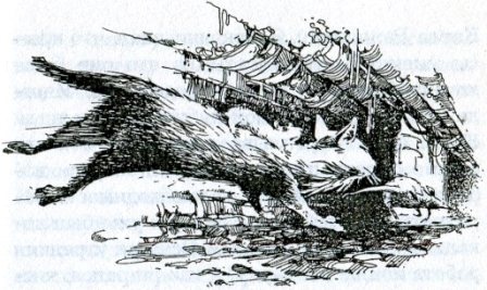 Иллюстрация к книге — Фредди. Жизнь, полная риска [i_023.jpg]