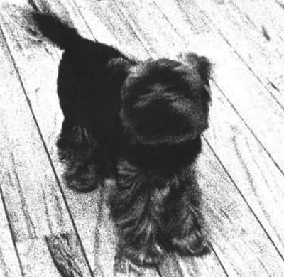 Иллюстрация к книге — Все хорошо! [i_009.jpg]