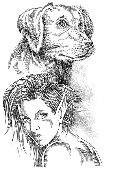 Иллюстрация к книге — Страна эльфов. В поисках сокровища [i_015.jpg]