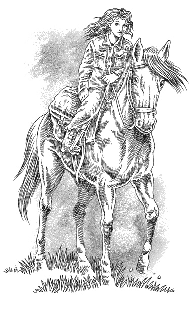 Иллюстрация к книге — Страна эльфов. В поисках сокровища [i_016.jpg]