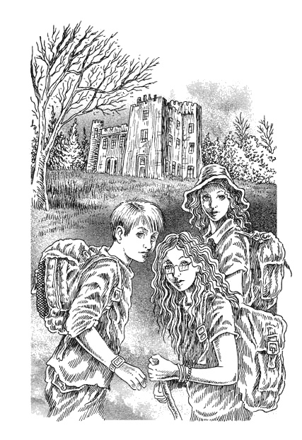 Иллюстрация к книге — Страна эльфов. В поисках сокровища [i_018.jpg]