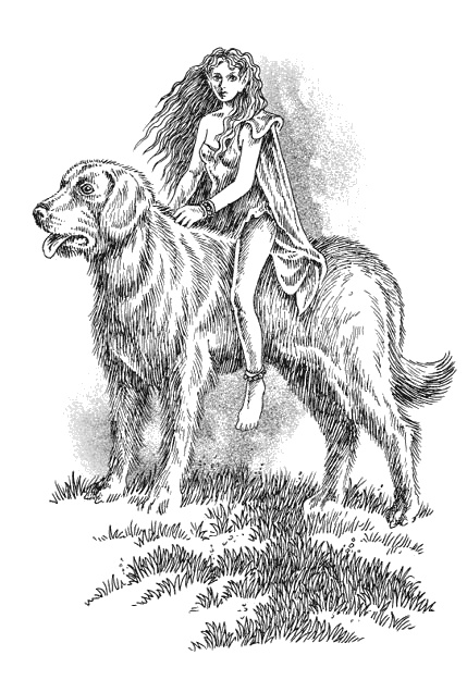 Иллюстрация к книге — Страна эльфов. В поисках сокровища [i_024.jpg]