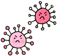 Иллюстрация к книге — Корейские секреты красоты, или Культура безупречной кожи [i_017.jpg]