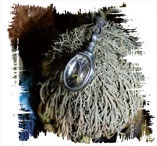 Иллюстрация к книге — Медиум: в поисках жизни [i_013.jpg]