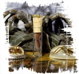 Иллюстрация к книге — Медиум: в поисках жизни [i_026.jpg]