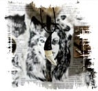 Иллюстрация к книге — Медиум: в поисках жизни [i_031.jpg]