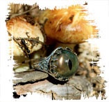 Иллюстрация к книге — Медиум: в поисках жизни [i_033.jpg]