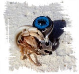 Иллюстрация к книге — Медиум: в поисках жизни [i_034.jpg]